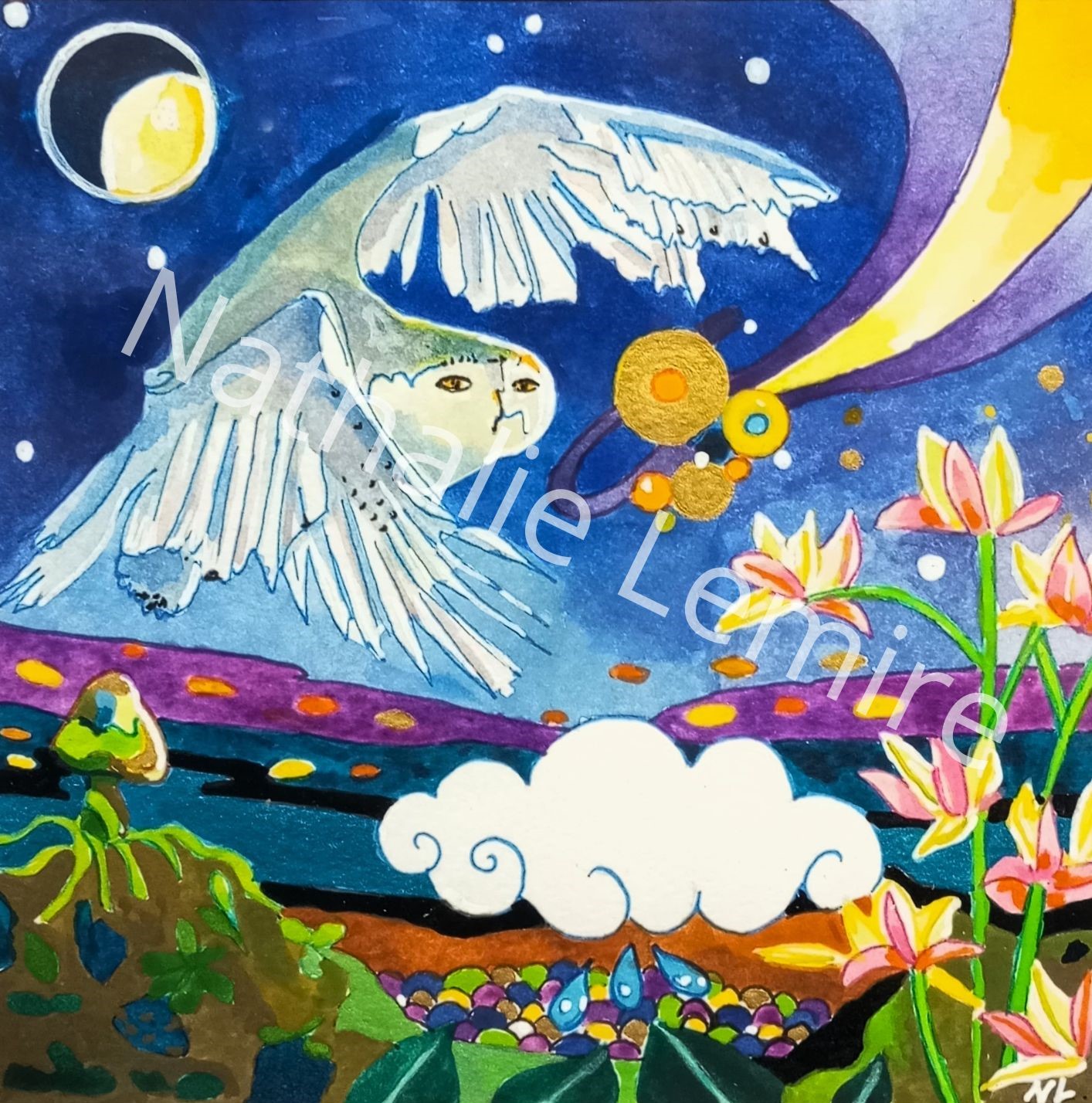 droit à l'image galerie - 1